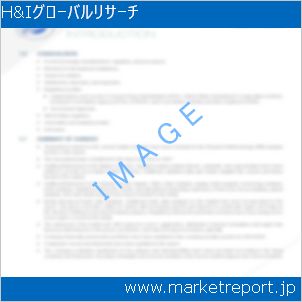 市場と産業調査レポートのイメージ